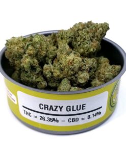 buy crazy glue strain online