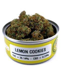 buy lemon cookies strain online