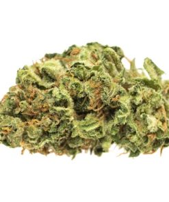 afghan kush flowering time, Afghan Kush for sale, Afghan Kush for sale on craigslists, afghan kush grow, afghan kush pictures, afghan kush price, Afghan Kush products for sale, afghan kush seeds, Afghan Kush Strain, afghan kush wiki, afghan strain, afghani strain flowering time, best online store to purchase Afghan Kush, BHO, Blackberry kush, Blue Dream, buy Afghan Kush in all 50 states, buy Afghan Kush in canada, buy Afghan Kush in texas, Buy Afghan Kush Online, buy Afghan Kush out door grow, buy Afghan Kush relaible plug, buy Afghan Kush weed online uk, buy Afghan Kush without medical card, buy edibles online reddit, buy illegal Afghan Kush online, buy legal weed online, buy marijuana online, buy medical Afghan Kush online california, buy moon rock adelaide, buy moon rock online canada, buy painkiller, Buy quality Afghan Kush for cheap, buy real marijuana online, buy real weed online, buy skunk online UK, buy synthetic weed online, buy weed online, Buying weed online, can you buy weed online, craigslist weed for sale, descreet Afghan Kush delivery, dispensaries that ship out of state, high times weed for sale, i want to buy Afghan Kush, INDICA WEED STRAINS, is it legal to buy edibles online, kush for sale, legal buds, legal weed for sale Cheap, Legal Weed For Sale Online, legal weed for sale UK, Mail order marijuana, marijuana for sale, Marijuana for sale online, most relaible site to buy Afghan Kush online, online dispensary shipping, online store Afghan Kush, Order Afghan Kush Online, Order Weed Online, RelaxedTags: 420 mail order, synthetic Afghan Kush for sale, weed buds for sale Online, weed buds for sale UK, weed for sale, weed for sale AU, weed for sale online, weed for sale onlinereal weed for sale, weed online for sale, where is the most secured site to buy Afghan Kush online, where to buy Afghan Kush in sydney