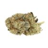 420 mail order USA, best marijuana online store USA, Bruce Banner, bruce banner 3 strain, bruce banner actor, bruce banner comic, Bruce Banner For Sale Online, bruce banner iq, bruce banner mcu, Bruce Banner online, bruce banner seeds, bruce banner shatter, bruce banner strain, bruce banner strain allbud, bruce banner strain flowering time, bruce banner strain lineage, bruce banner strain near me, bruce banner strain outdoor, bruce banner strain price, bruce banner strain reddit, bruce banner strain seeds, bruce banner strain yield, Bruce Banner Weed, Bruce Banner Weed Strain, Buy Bruce Banner, Buy bruce banner 3 online Europe, Buy bruce banner 3 online Germany, Buy bruce banner 3 online USA, Buy Bruce Banner marijuana Online, Buy Bruce Banner online, Buy Bruce Banner strain, Buy Bruce banner strain online, buy cheap weed online usa, buy marijuana online, buy marijuana online with discreet packaging, buy marijuana online worldwide, buy medical marijuana, buy real weed online, buy weed online, Buy Weed Online Europe, buying cannabis USA reviews, buying marijuana online USA reviews, buying weed online in usa, California dispensary shipping worldwide, cepa bruce banner # 3, cepa de banner de bruce, cepa de bruce banner 3, electric banner strain, fotos de bruce banner, legal marijuana for sale online usa, legit online dispensary shipping worldwide, mail order marijuana online Australia, Mail order marijuana online Uk, mail order marijuana online USA, mail order marijuana online with worldwide shipping, Mail order weed online with worldwide shipping, marijuana for sale online USA, Marijuana online USA, marvel cinematic universe betty, mcu abominación altura, mcu abomination height, online dispensary, online dispensary shipping worldwide reviews, Order kush online USA, order marijuana online USA, Order Weed Online, Order weed online Order weed online, order weed online worldwide, order weed online worldwide shipping, pictures of bruce banner, precio de cepa de banner de bruce, rendimiento de la cepa de Bruce Banner, semillas de bruce banner, tensión de banner eléctrico, weed for sale online, weed online USA, worldwide cannabis online shop