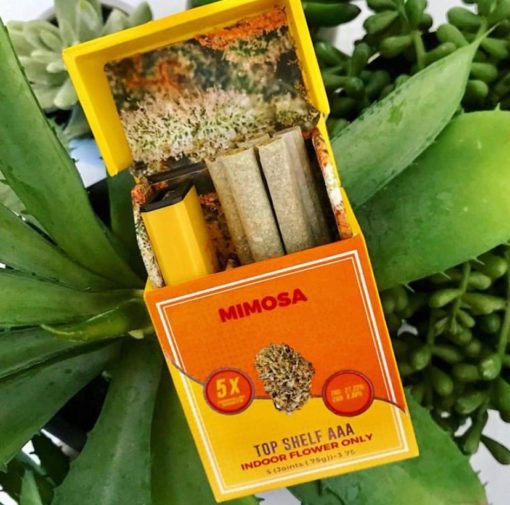 buy mimosa smartrolls online