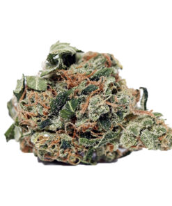 buy blackberry kush online, Buy Chem Dawg, Buy Chem Dawg Online, Buy Chem Dawg with bitcoins online, Buy Chemdawg 4 Marijuana In America, Buy Chemdawg 4 Marijuana In Austria, Buy Chemdawg 4 Marijuana In France, Buy Chemdawg 4 Marijuana In Germany, Buy Chemdawg 4 Marijuana In Hungary, Buy Chemdawg 4 Marijuana Online, Buy Chemdawg Cannabis Strain, Buy Chemdawg online, Buy chemdawg strain, Buy Chemdawg strain online, Buy Chemdawg weed Online, Buy Chemdawg Weed Strain Online, Buy Diamond Valley Kush Online, buy legal weed online, Buy legit weed online, Buy marijuana hybrid, buy marijuana online, Buy Marijuana Online Australia, Buy Marijuana Online Europe, Buy marijuana online in usa, Buy Marijuana Online USA, buy marijuana weed online, Buy medical marijuana CA, Buy Medical Marijuana Online, Buy Moonrock Online UK, buy real marijuana online, buy real weed online, buy skunk online UK, buy synthetic weed online, buy weed online, buy weed online Australia, Buy Weed Online Europe, BUY WEED ONLINE UK, buy weed online USA, Buying weed online, can i buy weed online, can you buy weed online, Chem Dawg, chemdawg 4, Chemdawg 4 cannabis, Chemdawg 4 marijuana, chemdawg 4 strain, chemdawg 91 strain review, chemdawg cannabis strain, chemdawg cbd flower, chemdawg cbd strain, Chemdawg for sale online, chemdawg girl scout cookies, chemdawg marijuana strain, chemdawg og, Chemdawg review, chemdawg seeds usa, chemdawg strain, chemdawg strain flowering time, Chemdawg Strain for, chemdawg strain genetics, chemdawg strain info, chemdawg strain leafly, chemdawg strain review, chemdawg strain thc level, chemdawg strain yield, chemdawg thc strain, chemdawg weed near me, chemdawg weed strain, dispensaries that ship out of state, dopest dankies buy online, Flower, Girl Scout Cookies, Green crack, Happy, How To Buy Chem Dawg Online, How To order Chem Dawg Online, Hungry, Hybrid Weed Strains, is it legal to buy edibles online, Khalifa Kush, kush for sale, legal buds, Mail order marijuana, MARIJUANA CLONES FOR SALE, marijuana for sale, Marijuana for sale online, online dispensary shipping, Online weed store, Order Chem Dawg, Order Chem Dawg Online, Order Chem Dawg with bitcoins online, Order Chemdawg marijuana strain online in the USA, order Chemdawg Strain Online, order Chemdawg weed Online, Order Weed Online, purchase Chem Dawg, Purchase Chem Dawg Online, purple chemdawg strain, sale, weed for sale online, Where are Buy Chemdawg online, Where To Buy Chem Dawg Online, Where To Buy Chemdawg Strain Online, Where To order Chem Dawg Online