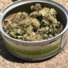 buy super sour diesel smart bud online, Buy super sour diesel Smart Buds Online, buy super sour diesel smartbud online, buy super sour diesel strain online, Buy Smart Bud Tins, Buy smart bud tins online, buy smartbud online, Buy your smart bud tins online, super sour diesel, super sour diesel smart bud, super sour diesel Smart Buds for Sale, super sour diesel smartbud, super sour diesel SmartBud for Sale, super sour diesel strain for sale, How to Buy super sour diesel Smart Buds, Order super sour diesel, Order super sour diesel Smart Buds, Shop Smart buds, smart bud, smartbud, smartbud cans, Where to Buy super sour diesel Smart Buds, Where to Buy super sour diesel SmartBud