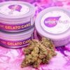 buy gelato cake smart bud online, Buy gelato cake Smart Buds Online, buy gelato cake smartbud online, buy gelato cake strain online, Buy Smart Bud Tins, Buy smart bud tins online, buy smartbud online, Buy your smart bud tins online, gelato cake, gelato cake smart bud, gelato cake Smart Buds for Sale, gelato cake smartbud, gelato cake SmartBud for Sale, gelato cake strain for sale, How to Buy gelato cake Smart Buds, Order gelato cake, Order gelato cake Smart Buds, Shop Smart buds, smart bud, smartbud, smartbud cans, Where to Buy gelato cake Smart Buds, Where to Buy gelato cake SmartBud