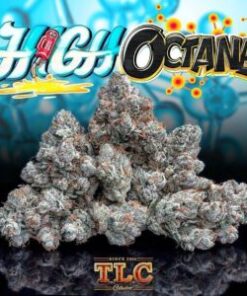 buy Jungle Boys High Octane online, buy weed packs online, heirloom og, hi octane fuel, hi octane orange, hi octane pills, hi-octane, high octain, high octane, high octane concentrates, high octane image, high octane og, high octane og all bud, high octane og genetics, high octane og leafly, high octane og lineage, high octane og sc labs, high octane og strain, high octane og strain info, high octane og strain leafly, high octane og strain review, high octane og x gelato, high octane og x gelato 33 review, hioctane, jungle boys, jungle boys bags, jungle boys carts, jungle boys clothing, jungle boys dispensary, jungle boys extracts, jungle boys high octane, jungle boys high octane og, Jungle Boys High Octane online, jungle boys instagram, jungle boys packaging, jungle boys seeds, jungle boys seeds for sale, jungle boys strain, jungle boys strains, jungle boys wedding cake, octane review, og kush high, orange octane, weed packs for sales, weed packs online