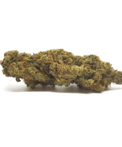 best cannabis store online, best medibud strain online, buy marijuana cannabis online, buy marijuana online, buy medibud strain close to me, buy medibud strain near me, buy medibud strain online, buy weed online, Medibud Strain, medibud strain online, quick delivery of medibud strain online, top quality marijuana online