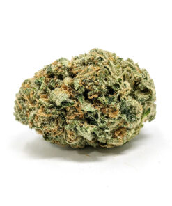 100% money back guarantee or reship, 24/7 Bubba Kush Delivery, Best Online Dispensary, bubba kush, Bubba Kush for sale in Canada without Script, Bubba Kush for sale in USA, Bubba Kush for sale without Script, Bubba Kush Mail order, Bubba Kush overnight Shipping, bubba kush strain, bubba kush weed, Bubba Kush Worldwide Delivery, Buy Bubba Kush in USA, Buy Bubba Kush online, Buy Cheap Bubba Kush, buy marijuana online, buy Pre-98 Bubba Kush, Legit Bubba Kush Online, Order Bubba Kush, Pre 98 Bubba Kush, pre 98 bubba kush strain